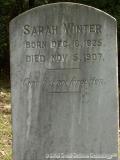 image number sarah_winter